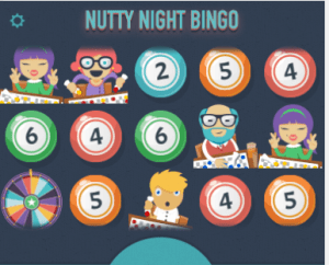 Bingo kommer i en rekke ulike varianter i nettcasinoene