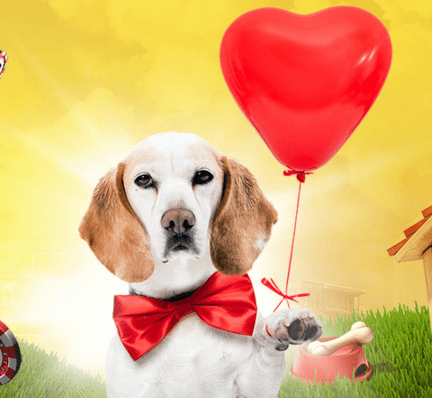 lucky rizk valentine´s day